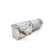 TWG4058-555 24v dc worm gear motor self lock dc gear motor with high torque